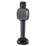 
      Karaoke Lights Mic 
     - view 2